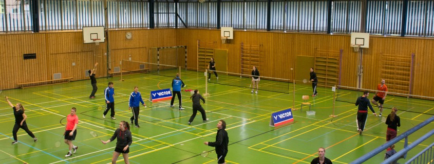 Badminton im Münchner Norden (Unterschleißheim - Lohhof)